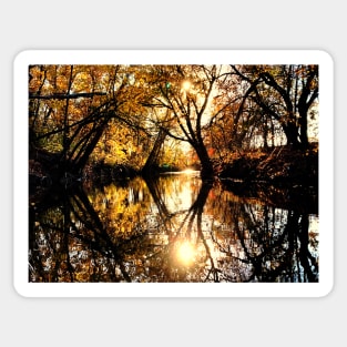 Stunning Evening Fall Water Reflections Sticker